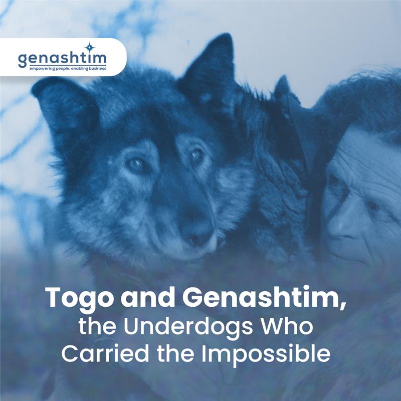 Togo and Genashtim, the Underdogs Who Carried the Impossible